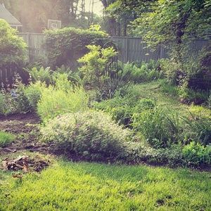 Meet your Posher, Jean